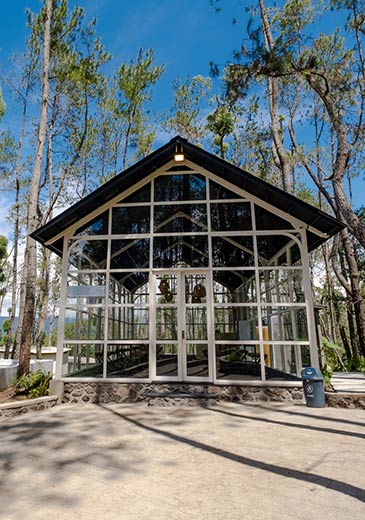 About hotel